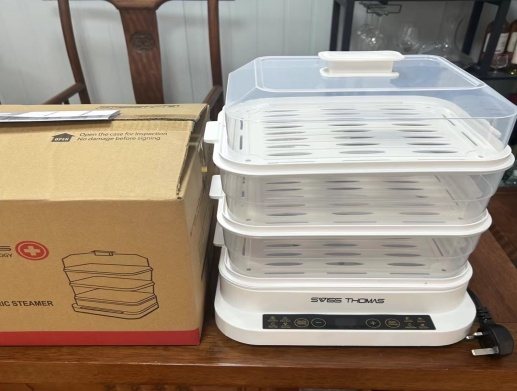 Electric Steamer wholesale product image